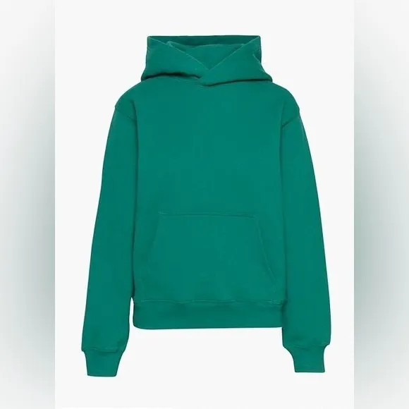 Aritiza TNA Cozy Fleece Perfect hoodie Sweatshirt Biome Green - Image 2