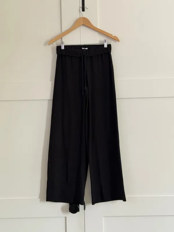 NWT Aritzia Sunday Best • BestHug Memento Pant - Image 2