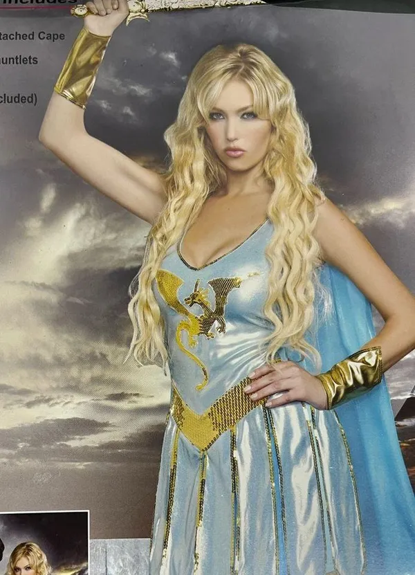 Dreamgirl NWT Sexy 2pc Dragon Warrior Queen Halloween Costume sz Small - Image 5
