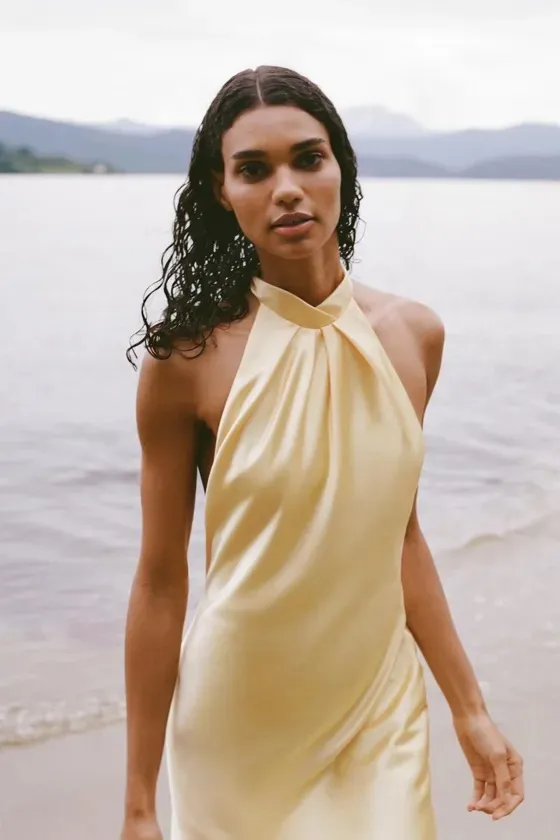 Zara butter Yellow Backless Halter maxi Dress holiday evening wedding - Image 19