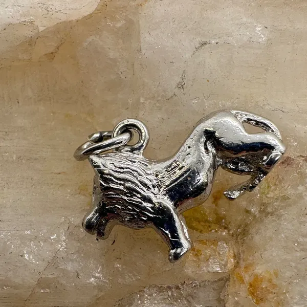 Vintage Silver Tone‎ Lion Charm Magnetic Animal Pendant 2.99g SKU 243 7/9 - Image 2