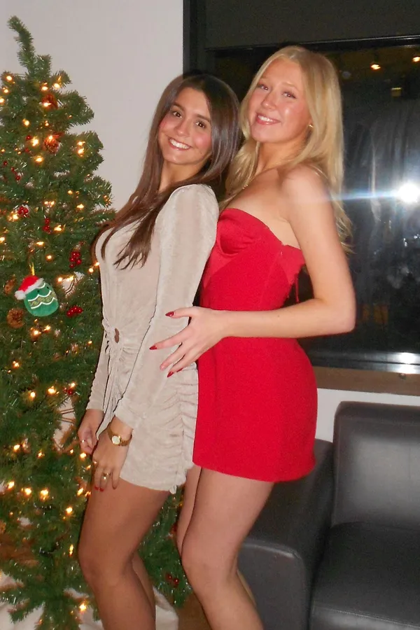 Revolve Long Sleeve Dress Mini - Image 2