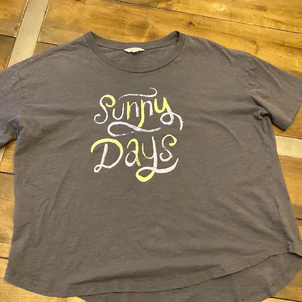 Wildfox Sunny Days graphic tee shirt sleeve‎ gray size XL - Image 2