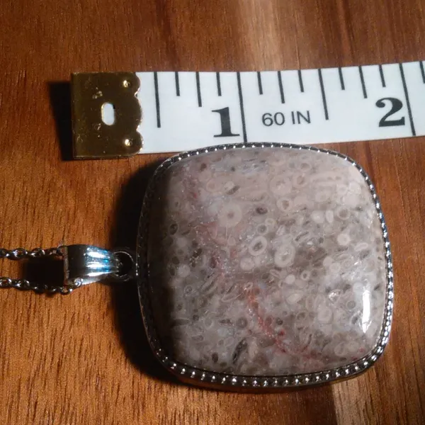 Ocean Fossil Jasper Inlay Frame Silvertone Pendant Stainless Steel Necklace - Image 7