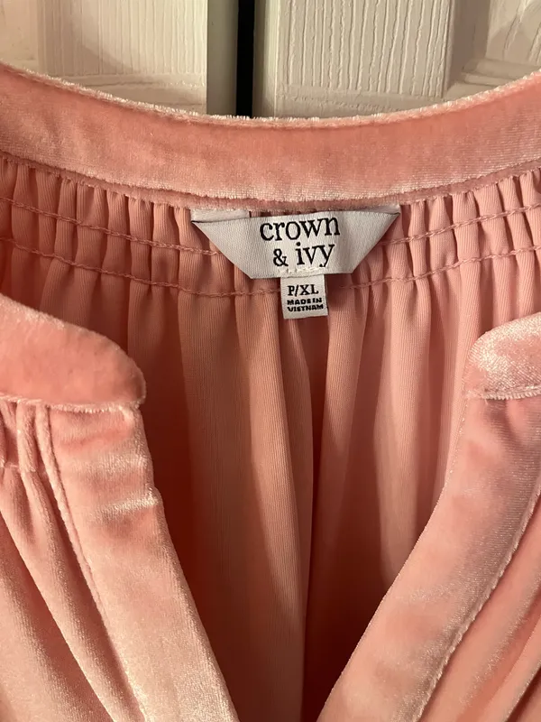 Crown & Ivy velvet top - Image 2