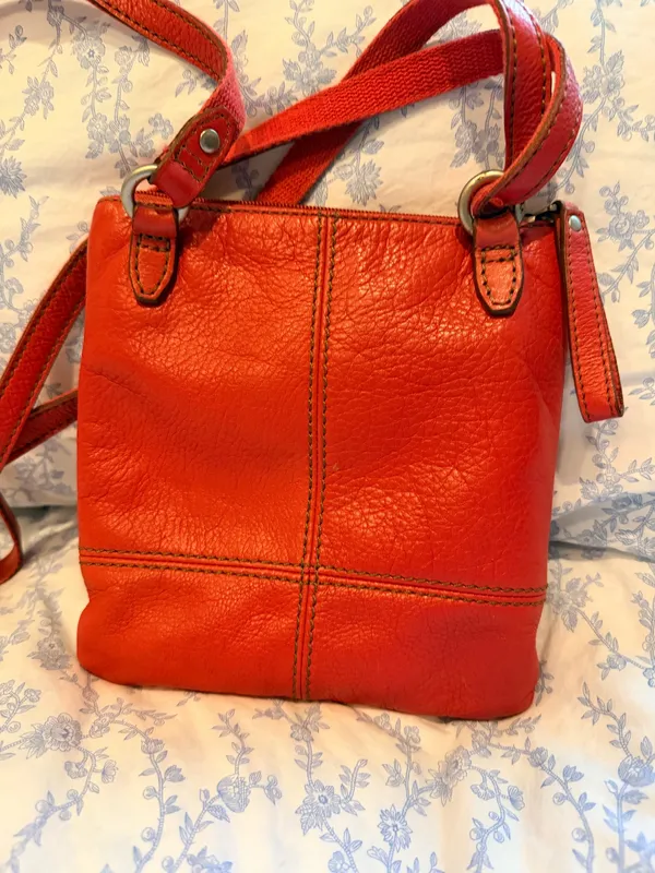 Fossil Crossbody - Image 3