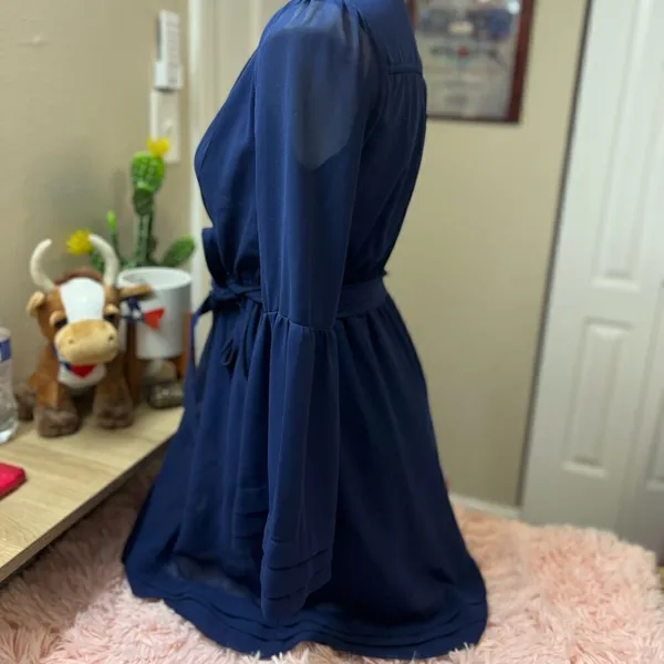 Windsor Blue dress - Image 3