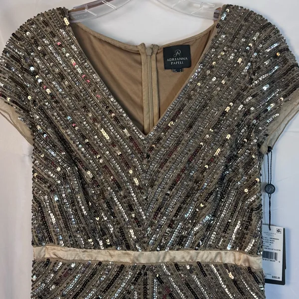 NWT Adrianna Papell Long Beaded‎ V-Neck Gown w/ Cap Sleeves & Waistband – Size 6 - Image 11