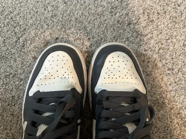 Nike Air Jordan Low - Image 3
