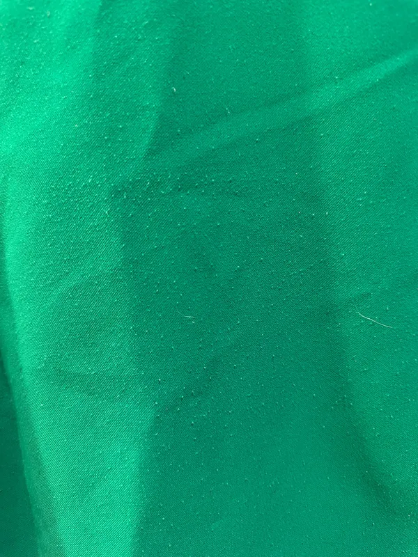 TCEC Kelly Green Flutter Sleeve Blouse - Image 5