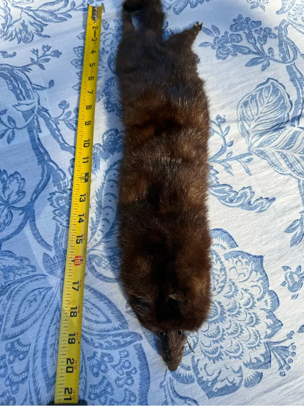 Vintage Full Body Mink Fur Stole Wrap Scarf Real Brown Fur 21” w/ Face Tail Legs - Image 7