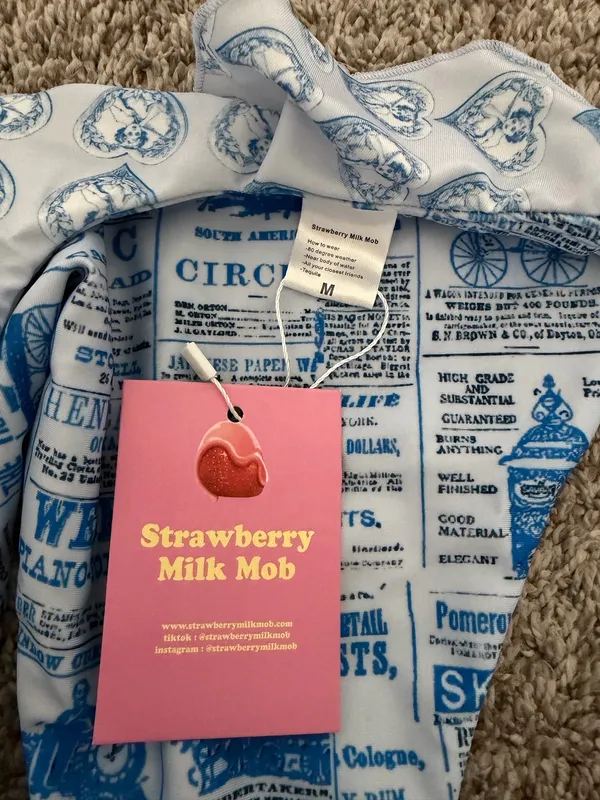Strawberry Milk Mob Swimsuit Bottom Blue Size M - Image 3