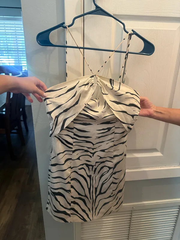 ZARA Zebra Dress - Image 2