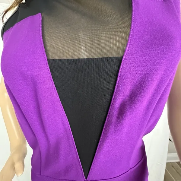 Kenneth Cole 'Eleanore' ~ Purple Illusion Mesh Party /‎ Cocktail Dress Sz 6 - Image 4
