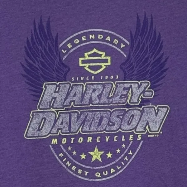 Harley-Davidson Motorcycles Fort Thunder Moore Oklahoma T-Shirt Purple Small - Image 2
