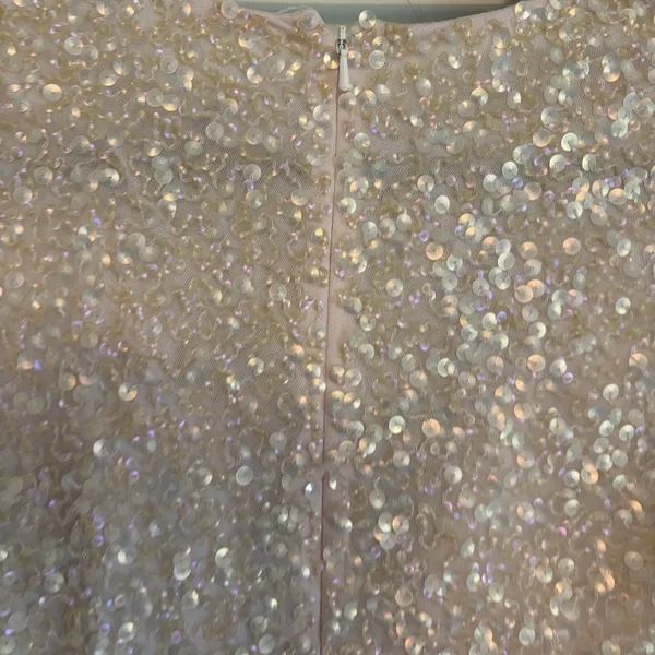 NWT Ashley Lauren Sz 2 Powder‎ Sequin Short Dress V Neck Formal Pageant Prom - Image 7