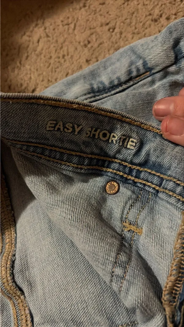 American Eagle Jena Shorts Outfitters - Image 3