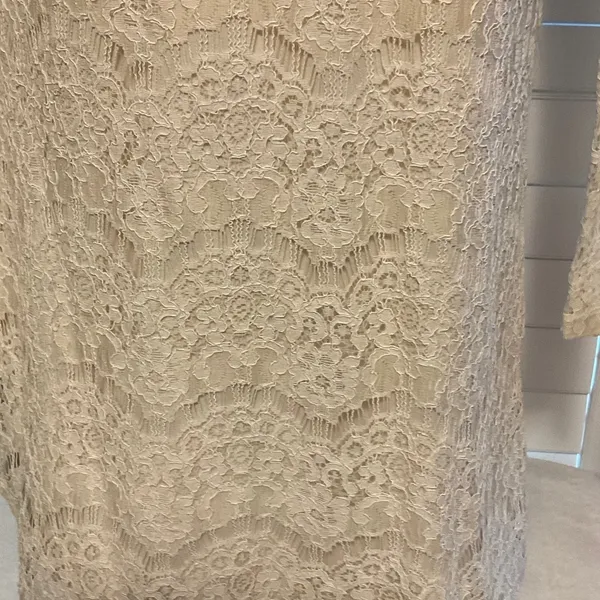 Forever 21 Cream Lace Long Sleeve Dress - Image 4