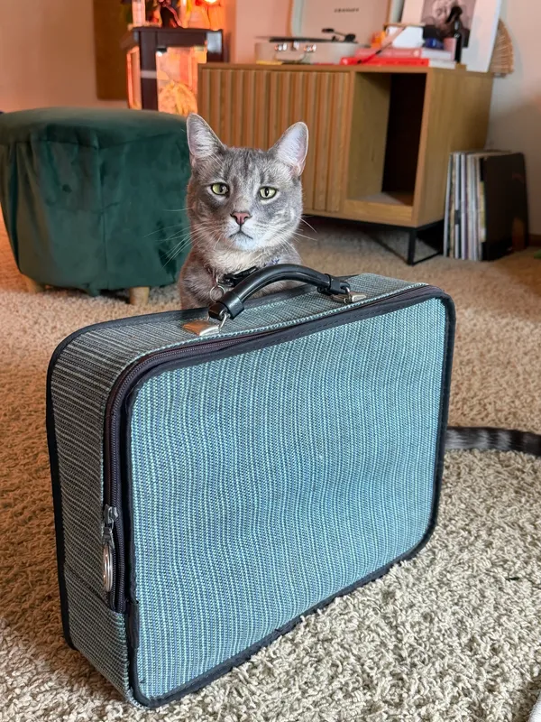 Vintage suitcase mod blue design - Image 2