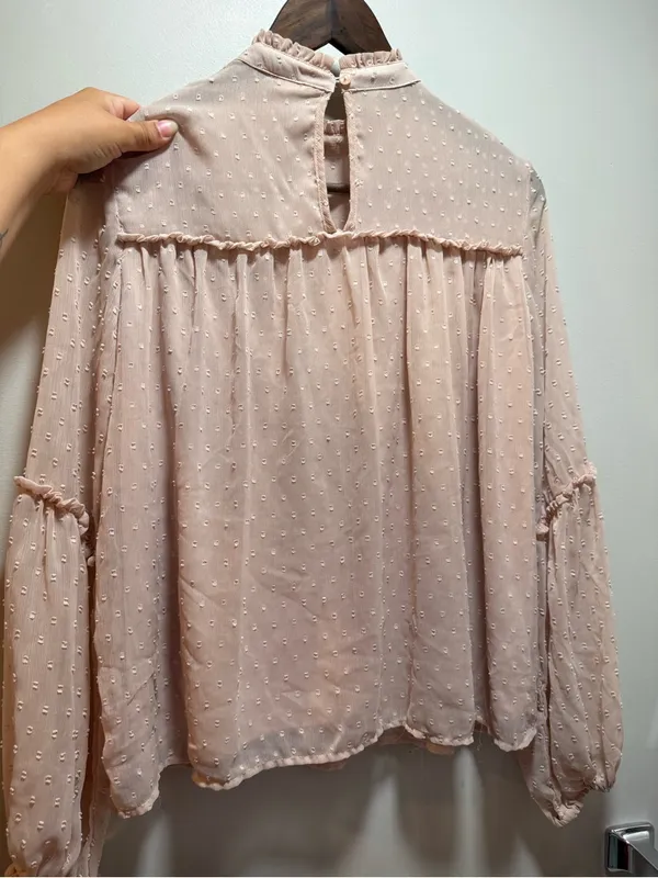 Japna Sheer Swiss Dot Ruffle Yoke Blouse - Light Pink - Image 3