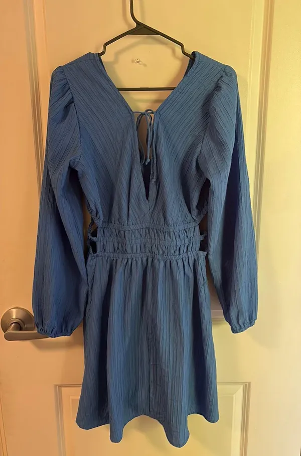 Hint of Blush Dress - Image 3