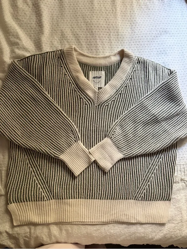 aerie beyond oversized chenille v neck sweater | royal palm - Image 2