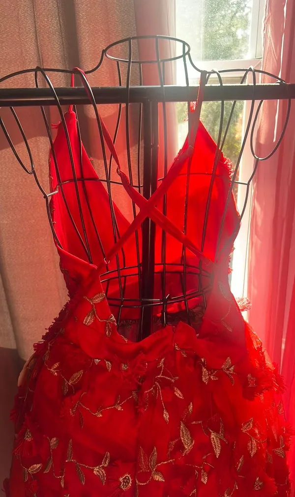 Altar'd State Dress - Image 3