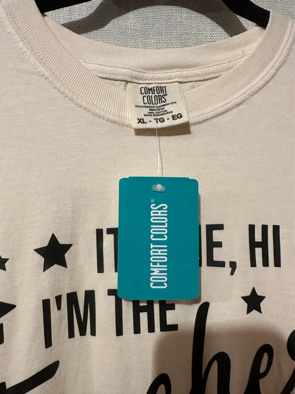 Comfort Colors Teacher Swiftie T-Shirt - Image 3