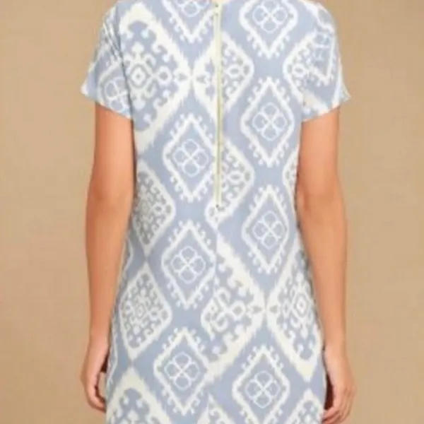 Lulus ✨ Give Me a Print Light Blue Print Shift Dress✨ - Image 4