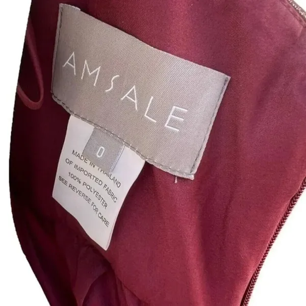 Amsale Sz 0 Cerisa Ruby Bridesmaid Gown Full Chiffon Skirt‎ Ruched Bodice GB033F - Image 6