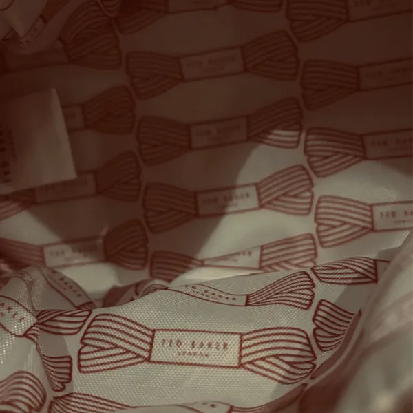 Ted Baker Mini Bag Perfect For Chargers/Cosmetics/ Anything You Want It To Be - Image 9