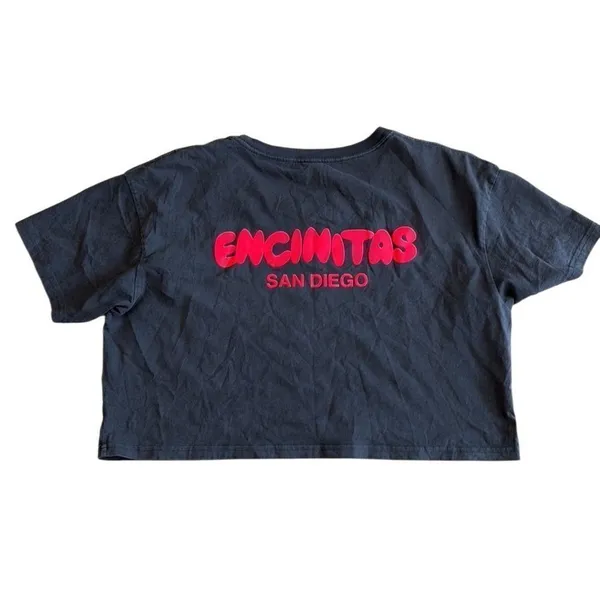 Ethos Encinitas California San Diego Cropped shirt Women’s Gray Large - Image 2