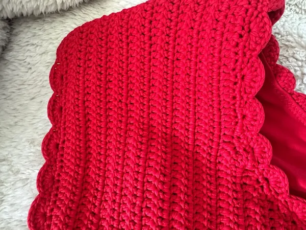 BEACH RIOT Kirby Bottom Ruby Crochet, Size Large , $138 - Image 11