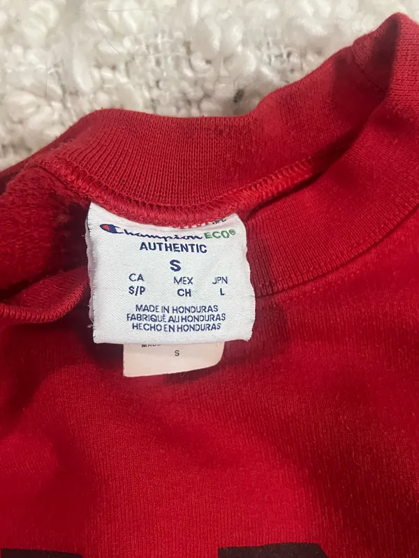 Old Row Champion Pullover  - Image 4