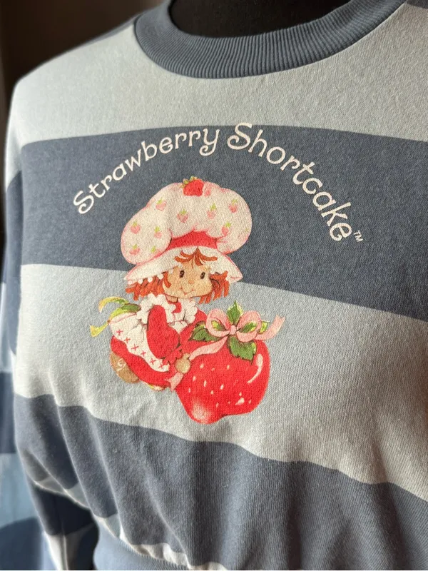 Strawberry Shortcake Blue Stripe Cropped Sweater xxs - Image 2