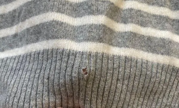 Striped Sweater - Image 4