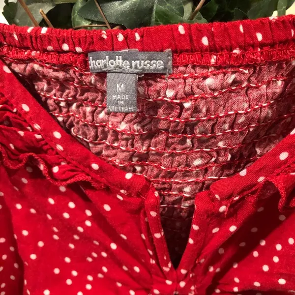 Charlotte Russe Polkadot Crop Top - Image 3
