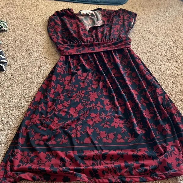 Anthropologie lark & ro‎ dress small - Image 2