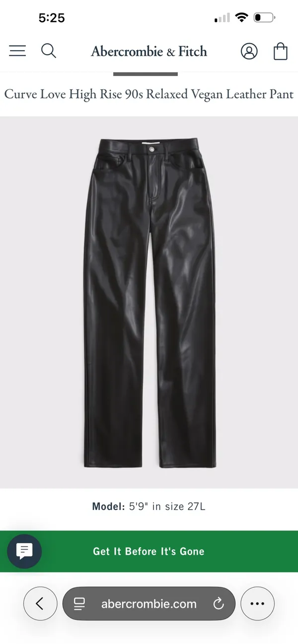 Abercrombie Leather Vegan Pants Curve Love - Image 3