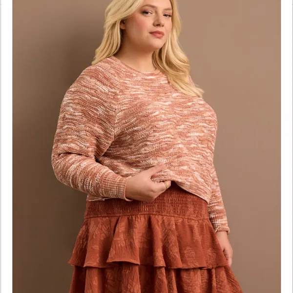 Arula Spice And Cream Variegated Crop Sweater NWT 1X - Image 3