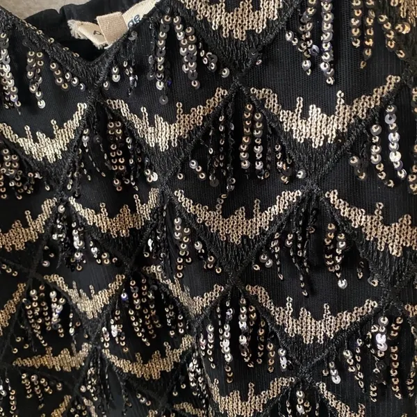 Anthropologie Porridge Orinda Sequin Fringe Cami Tank Gatsby Party Glam - Small - Image 4