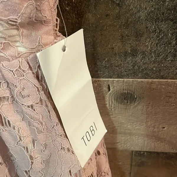 Tobi Blush Lace Overlay Sleeveless Plunging Neckline Mini Dress, NWT - Image 6