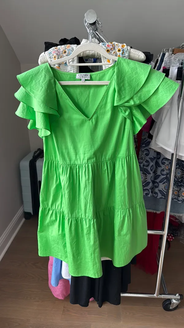 CROSBY by Mollie Burch Dress - Image 2