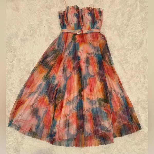 NWOT Hutch Strapless pleated Belted Chiffon Floral Maxi Dress sz 4 - Image 4