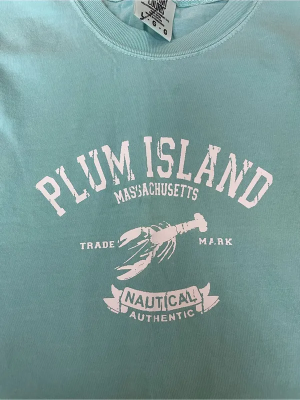 Comfort Colors Plum Island Graphic Tee - Aqua Blue - Image 4