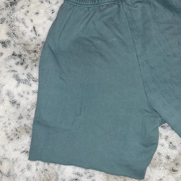 Boys Lie 🆕 NWOT | Classic V2 Sweat Shorts | Lead | Size Small **Flawed** - Image 15