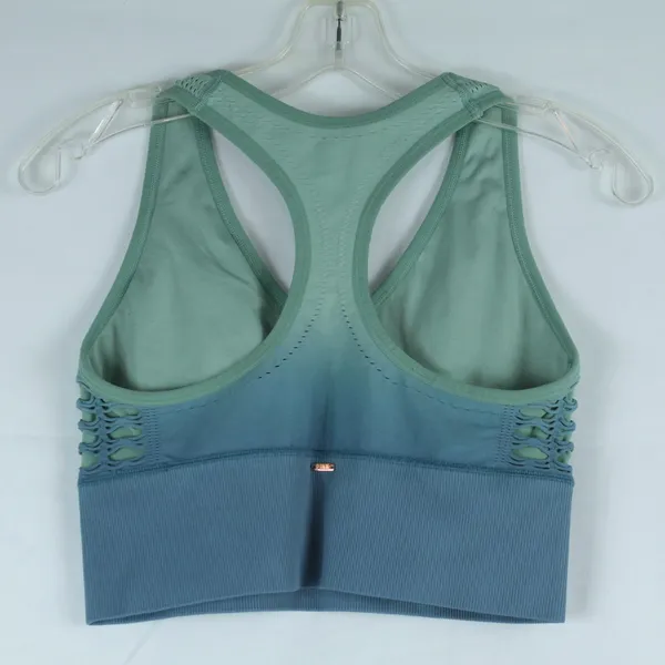 Victoria’s Secret Pink Green/Blue Ombré Seemless Lightly Lined Sports Bra Size L - Image 2