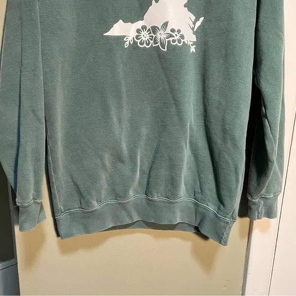 Comfort Colors Women's Size Small Crewneck Sweatshirt Light Green White Virginia - Image 3