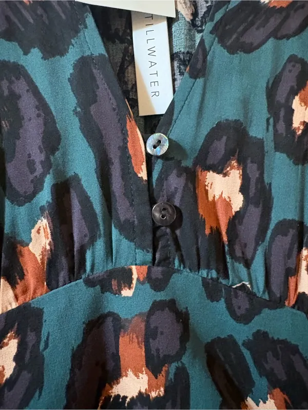NWT Stillwater Green Cheetah Plunging Neckline Maxi Dress - Image 8