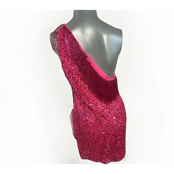 Rachel ALLAN 40150 Hot Pink Sequin One Shoulder Fringe Dress Size 12 NWT - Image 4